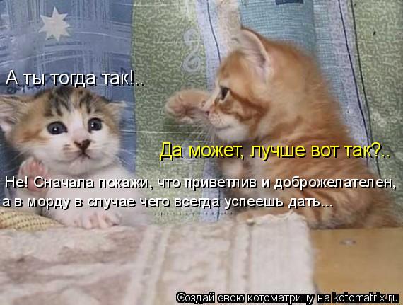 Котоматрица: А ты тогда так!.. Да может, лучше вот так?.. а в морду в случае чего всегда успеешь дать... Не! Сначала покажи, что приветлив и доброжелателен,