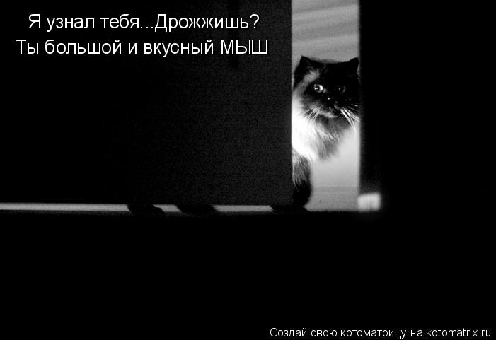 Котоматрица: Я узнал тебя...Дрожжишь? Ты большой и вкусный МЫШ