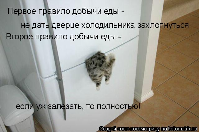 Котоматрица: Первое правило добычи еды -  не дать дверце холодильника захлопнуться Второе правило добычи еды -  если уж залезать, то полностью!