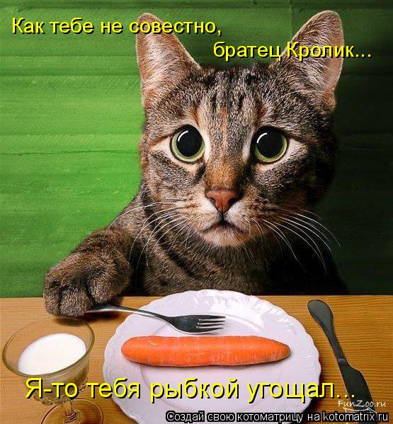 Как тебе не совестно, братец Кролик... Я-то тебя рыбкой угощал...... Котоматрица: Как тебе не совестно, братец Кролик... Я-то тебя рыбкой угощал...