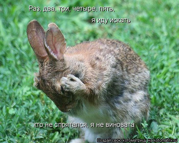 Котоматрица: Раз, два, три, четыре, пять, я иду искать кто не спрятался, я не виновата
