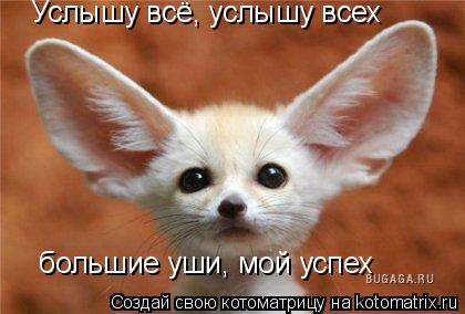 Котоматрица: Услышу всё, услышу всех большие уши, мой успех