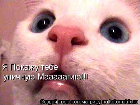Котоматрица: Я Покажу тебе уличную Мааааагию!!!