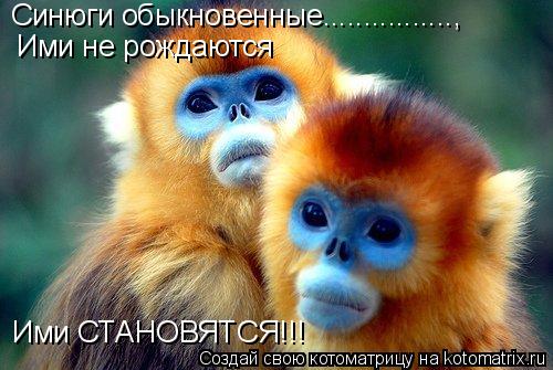 Котоматрица: Ими не рождаются Ими СТАНОВЯТСЯ!!! Синюги обыкновенные................,