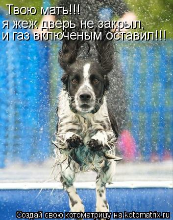 Котоматрица: Твою мать!!! я жеж дверь не закрыл, и газ включеным оставил!!!