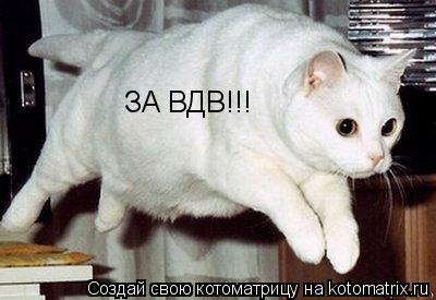 ЗА ВДВ!!!... Котоматрица: ЗА ВДВ!!!
