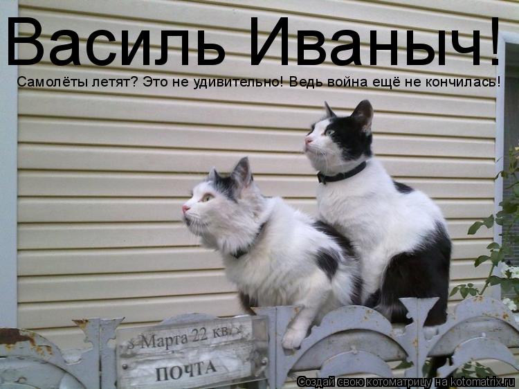 Василь Иваныч! Самолёты летят? Это не удивительно! Ведь война ещё не кончилась!... Котоматрица: Василь Иваныч! Самолёты летят? Это не удивительно! Ведь война ещё не кончилась!