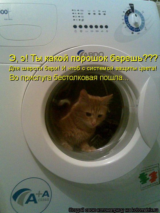 Котоматрица: Э, э! Ты какой порошок берешь??? Для шерсти бери! И чтоб с системой защиты цвета! Во прислуга бестолковая пошла...