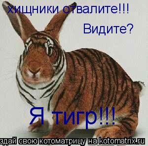 Котоматрица: хищники отвалите!!! Видите? Я тигр!!!