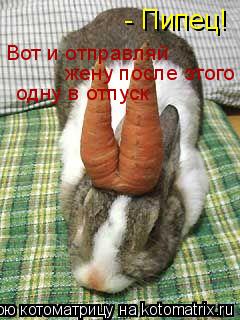 - Пипец! Вот и отправляй жену после этого одну в отпуск... Котоматрица: - Пипец! Вот и отправляй жену после этого одну в отпуск