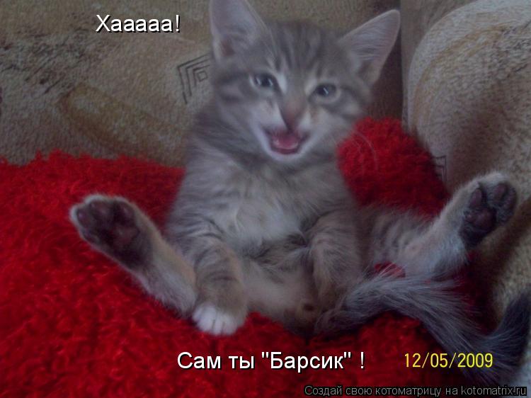 Котоматрица: Хааааа! Сам ты "Барсик" !