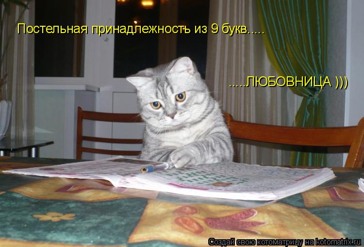 Постельная принадлежность из 9 букв..... .....ЛЮБОВНИЦА )))... Котоматрица: Постельная принадлежность из 9 букв..... .....ЛЮБОВНИЦА )))