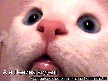 А я Ленина видел!... Котоматрица: А я Ленина видел!