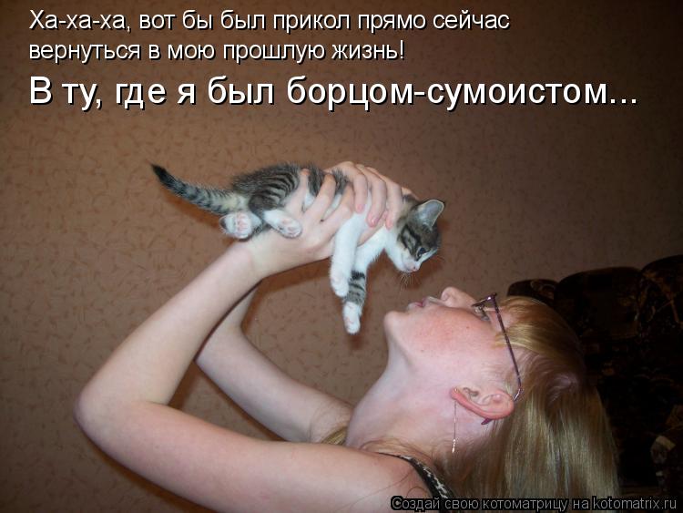 Ха-ха-ха, вот бы был прикол прямо сейчас вернуться в мою прошлую жизнь! В ту, где я был борцом-сумоис... Котоматрица: Ха-ха-ха, вот бы был прикол прямо сейчас вернуться в мою прошлую жизнь! В ту, где я был борцом-сумоистом...