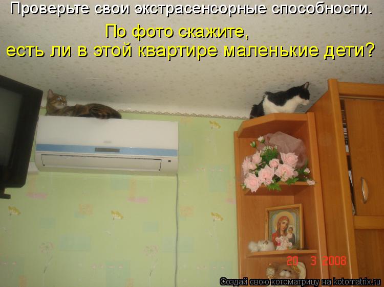 Проверьте свои экстрасенсорные способности. По фото скажите, есть ли в этой квартире маленькие дети?... Котоматрица: Проверьте свои экстрасенсорные способности. По фото скажите, есть ли в этой квартире маленькие дети?