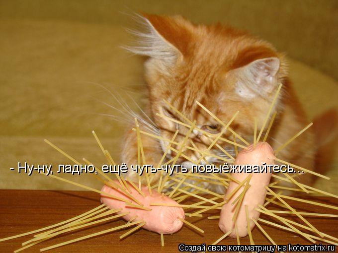 - Ну-ну, ладно, ещё чуть-чуть повыёживайтесь...... Котоматрица: - Ну-ну, ладно, ещё чуть-чуть повыёживайтесь...