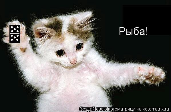 Рыба!... Котоматрица: Рыба!
