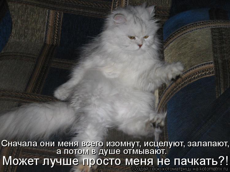 Сначала они меня всего изомнут, исцелуют, залапают, а потом в душе отмывают. Может лучше просто меня ... Котоматрица: Сначала они меня всего изомнут, исцелуют, залапают, а потом в душе отмывают. Может лучше просто меня не пачкать?!