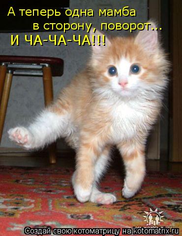 А теперь одна мамба в сторону, поворот... И ЧА-ЧА-ЧА!!!... Котоматрица: А теперь одна мамба в сторону, поворот... И ЧА-ЧА-ЧА!!!