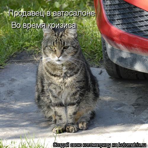 Продавец в автосалоне Во время кризиса... Котоматрица: Продавец в автосалоне Во время кризиса