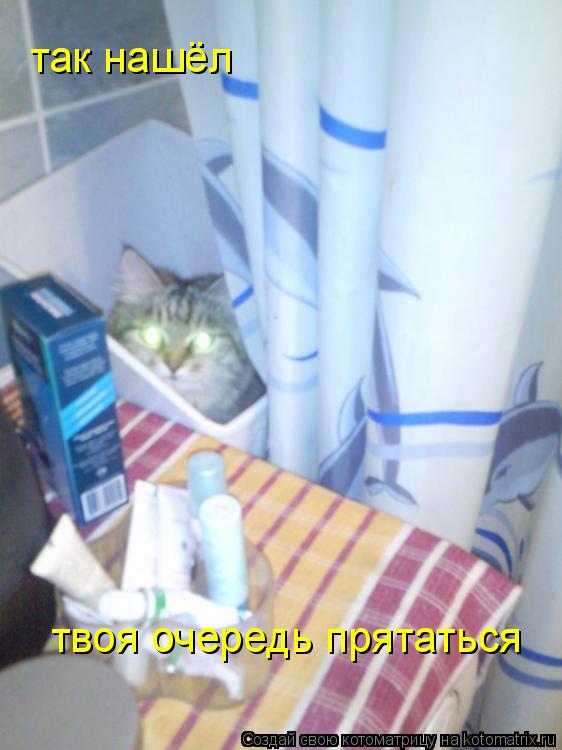 так нашёл твоя очередь прятаться... Котоматрица: так нашёл твоя очередь прятаться