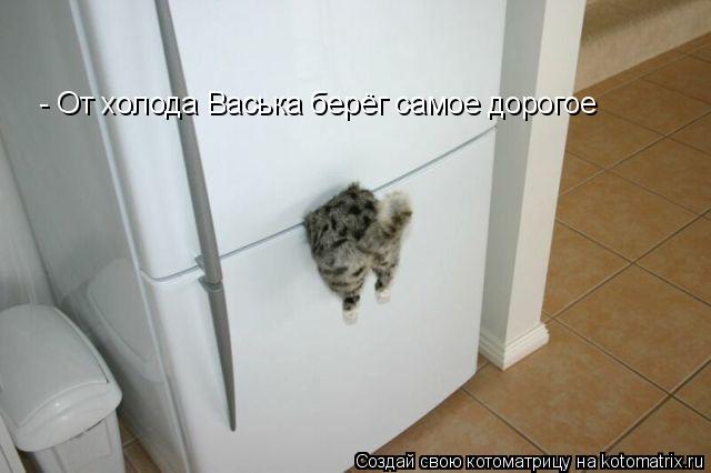 - От холода Васька берёг самое дорогое... Котоматрица: - От холода Васька берёг самое дорогое