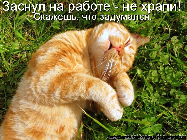 Котоматрица: Заснул на работе - не храпи! Скажешь, что задумался.