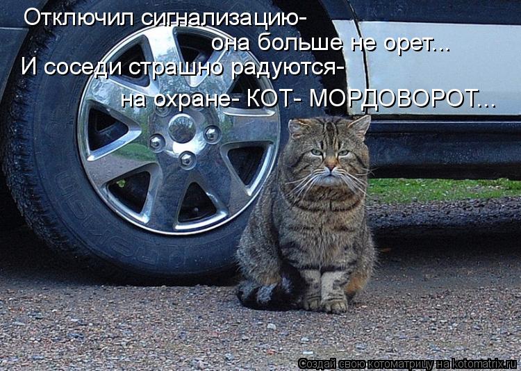 Отключил сигнализацию- она больше не орет... И соседи страшно радуются- на охране- КОТ- МОРДОВОРОТ...... Котоматрица: Отключил сигнализацию- она больше не орет... И соседи страшно радуются- на охране- КОТ- МОРДОВОРОТ...