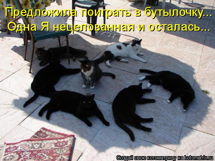 Предложила поиграть в бутылочку... Одна Я нецелованная и осталась...... Котоматрица: Предложила поиграть в бутылочку... Одна Я нецелованная и осталась...