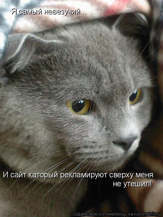 Котоматрица: Я самый невезучий... И сайт каторый рекламируют сверху меня не утешил!
