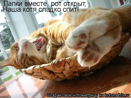 Котоматрица: Лапки вместе, рот открыт, Наша котя сладко спит!