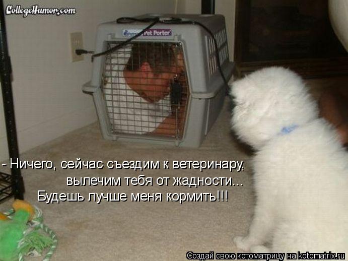 фото туристов с описанием в тайланде
