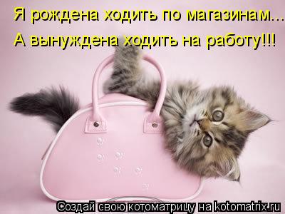 Я рождена ходить по магазинам... А вынуждена ходить на работу!!!... Котоматрица: Я рождена ходить по магазинам... А вынуждена ходить на работу!!!