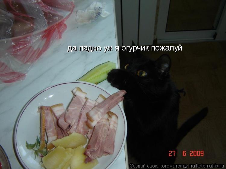 да ладно уж я огурчик пожалуй... Котоматрица: да ладно уж я огурчик пожалуй