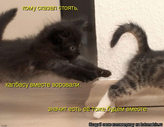 кому сказал стоять, калбасу вместе воровали, значит есть её тоже будем вместе... Котоматрица: кому сказал стоять, калбасу вместе воровали, значит есть её тоже будем вместе