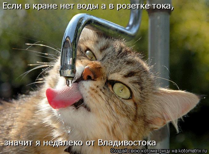 Котоматрица: Если в кране нет воды а в розетке тока, значит я недалеко от Владивостока