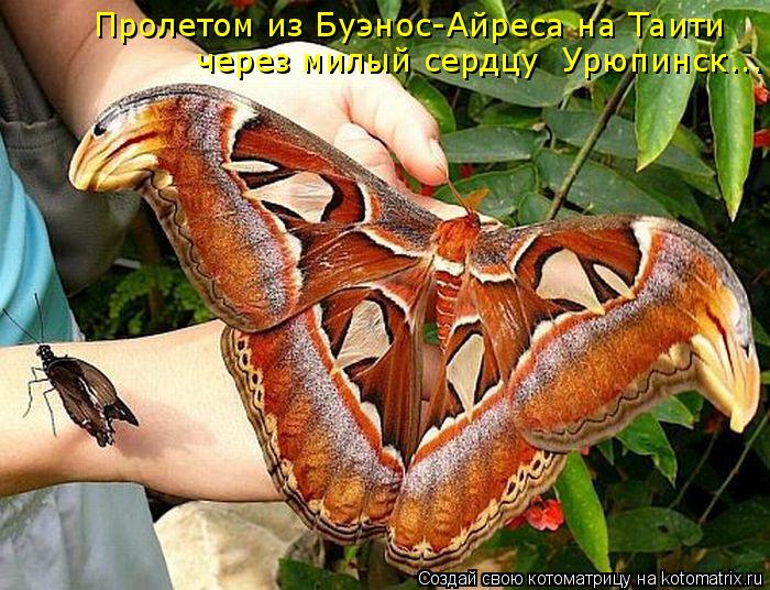 Пролетом из Буэнос-Айреса на Таити через милый сердцу Урюпинск...... Котоматрица: Пролетом из Буэнос-Айреса на Таити через милый сердцу Урюпинск...