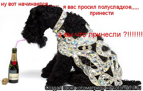 Котоматрица: ну вот начинается,,,,,,, я вас просил полусладкое,,,,, принести а вы что принесли ?!!!!!!!