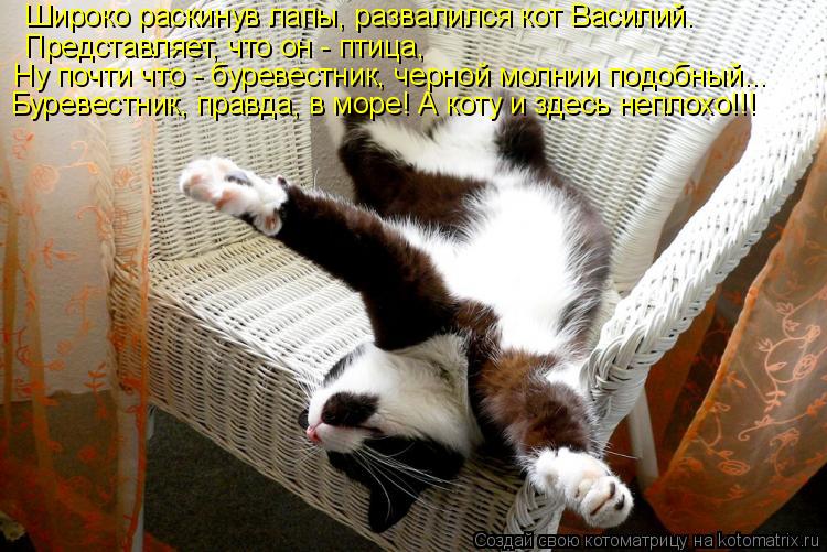 Широко раскинув лапы, развалился кот Василий. Представляет, что он - птица, Ну почти что - буревестни... Котоматрица: Широко раскинув лапы, развалился кот Василий. Представляет, что он - птица, Ну почти что - буревестник, черной молнии подобный... Буревестник,