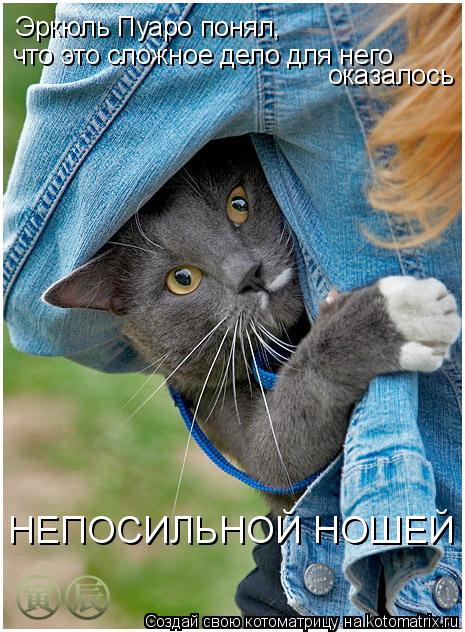 Котоматрица: Эркюль Пуаро понял, что это сложное дело для него оказалось  НЕПОСИЛЬНОЙ НОШЕЙ