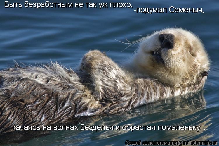 Котоматрица: Быть безработным не так уж плохо, -подумал Семеныч, качаясь на волнах безделья и обрастая помаленьку...
