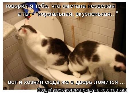 Котоматрица: говорил я тебе, что сметана несвежая а ты - "нормальная, вкусненькая..." вот и хозяин сюда же в дверь ломится....