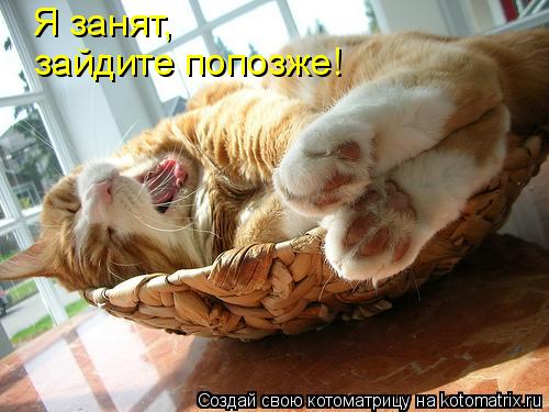 Я занят, зайдите попозже!... Котоматрица: Я занят, зайдите попозже!