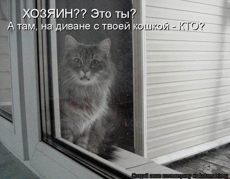 ХОЗЯИН?? Это ты? А там, на диване с твоей кошкой - КТО?... Котоматрица: ХОЗЯИН?? Это ты? А там, на диване с твоей кошкой - КТО?