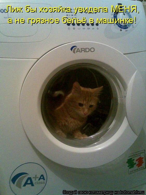 Лиж бы хозяйка увидела МЕНЯ, а не грязное бельё в машинке!... Котоматрица: Лиж бы хозяйка увидела МЕНЯ, а не грязное бельё в машинке!