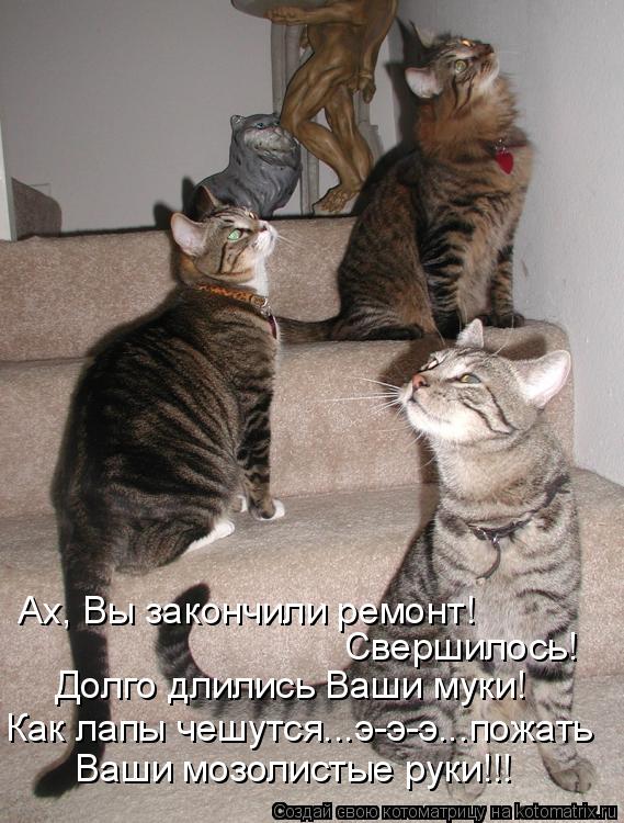 Ах, Вы закончили ремонт! Свершилось! Долго длились Ваши муки! Как лапы чешутся...э-э-э...пожать Ваши ... Котоматрица: Ах, Вы закончили ремонт! Свершилось! Долго длились Ваши муки! Как лапы чешутся...э-э-э...пожать Ваши мозолистые руки!!!