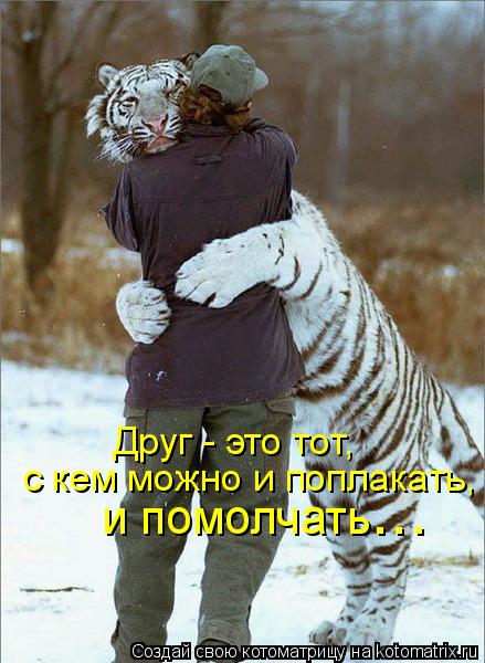 Друг - это тот, с кем можно и поплакать, и помолчать ...... Котоматрица: Друг - это тот, с кем можно и поплакать, и помолчать ...