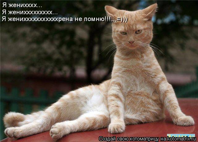 Я женихххх... Я жениххххххххх... Я женихххххххххххрена не помню!!!...=)))... Котоматрица: Я женихххх... Я жениххххххххх... Я женихххххххххххрена не помню!!!...=)))