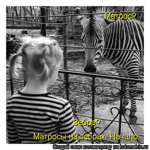 Котоматрица: Матрос?  Зебра?  Матросы на зебрах. Начало.