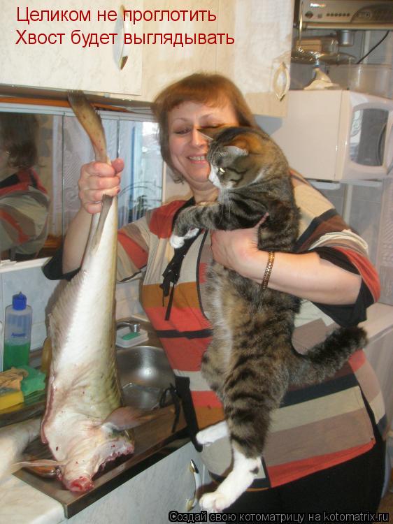 Целиком не проглотить Хвост будет выглядывать... Котоматрица: Целиком не проглотить Хвост будет выглядывать
